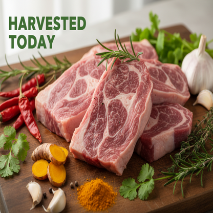 Goat Mutton Shoulder Cut | Medium Pieces